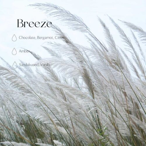 Powdered Candle Refill Kit – Breeze, 330g