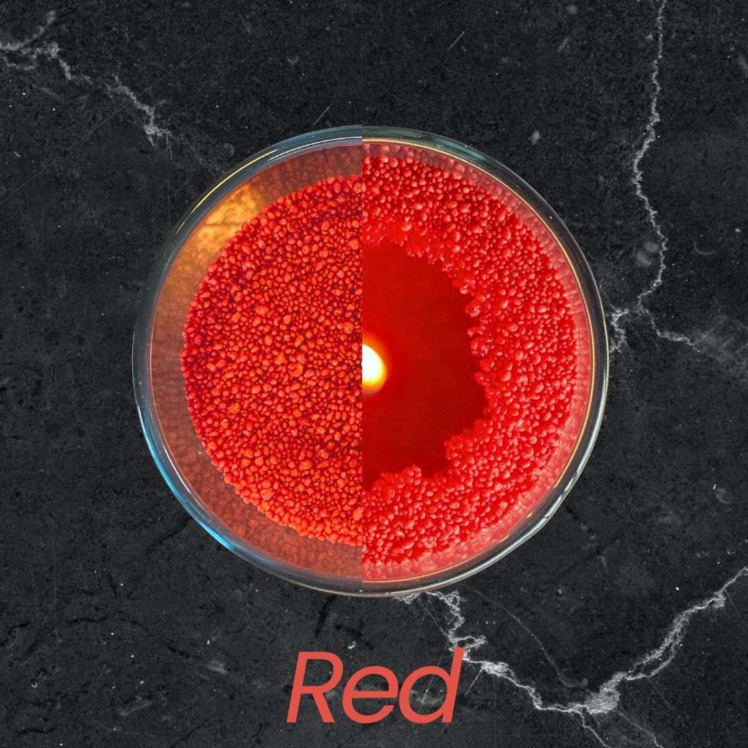 Powdered Candle Refill Kit – Unscented Red, 330g